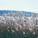 진 행정사 이미지