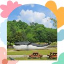 어뮤즈월드(주) | 전북 전주근교 가볼만한곳 , 완주 산속등대미술관(카페) 아이랑 방문 후기