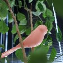 지혜로운생활연구소 | 집들이 선물로 좋을 지혜로운생활연구소 칸토 자석구두주걱