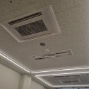 아브뉴프랑 옐로우 이미지