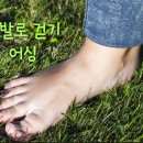 맨발로 다녀라 는 어싱(Assing)이라는 신체적 활동 이미지