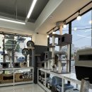 야옹아 멍멍해봐 상무점 이미지