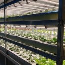 정도농장 이미지