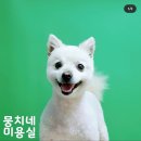 뭉치네 미용실 이미지