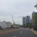 초롱꽃약국 이미지