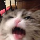 온화약국 | 켈로이드 제거 수술 후기 | 마취 주사 you're so rude