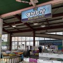 매호식당 | [강원 양양&amp;묵호] 가을 여행 코스 포매호, 묵호항, 하조대해수욕장 방문 후기