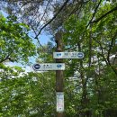 백운산갈비 | 계곡::백운산 등산후기 난이도 최상 그래도 포천백운산맛집 발굴 성공! #포천궁전갈비 #포천이동갈비맛집