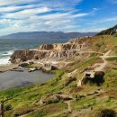 학습심리학 이미지