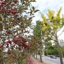 충원대로 이미지