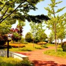 통양사랑테마공원 이미지