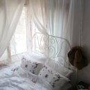 나풀나풀제주언니 민박 이미지