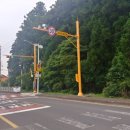 조천초등학교교래분교장 이미지