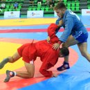 삼보의원 이미지