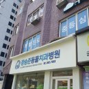 우리들치과병원 | 강아지 이빨 부러짐 치아파절치료 후기 서울 장승준 동물치과병원