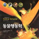 꾸러기동물병원 이미지