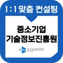 전라남도중소기업진흥원 | 중소기업기술정보진흥원 기정원 면접 후기 기출 역량 PT 최종 TIPA 교육 컨설팅