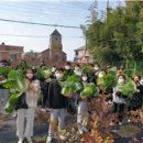 평동초등학교 이미지