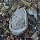 두동면주민자치센터 이미지