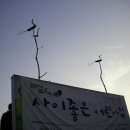 좋은나무어린이집 이미지