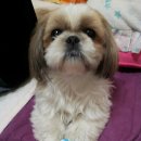 화곡1동 이미지