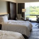 VIP 애견 이미지