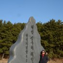 해안사구 이미지