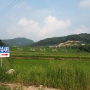 도곡낚시터 이미지