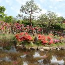 허브밸리(축제장) 이미지