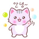 (주)슈베리 네이버블로그