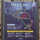 참꽃 | [비슬산 유가사코스 등산 후기] 참꽃축제는 취소됐지만, 봄은 여전히 그 길 위에 있었다🌸