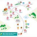 팔영산 자연휴양림 야영장 이미지