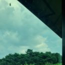 하리 민박 이미지