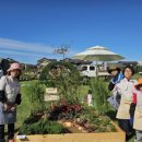 경북장애인자립생활센터 이미지