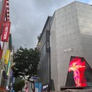동코 이미지