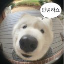 시간을 칠하는 사람 : 공간+시간+사람의 화학작용 | 포항) 바디 관리의 시작은 디톡스야. '이동_휴앤온 본점'