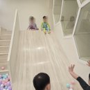 리틀포레스트 키즈풀
