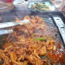 연신오리 이미지