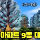 공상나무 이미지