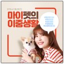 마이펫의 수중생활 네이버블로그