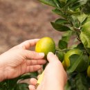 미래로농장 이미지