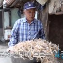 황수만 농장 네이버블로그