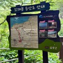 내수전 약수터 | 24년 6월 2박 4일 울릉도 독도 여행일정 Day3-(1): 나리분지 / 깃대봉 등산 / 나리촌 식당 / 카페...