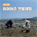 남해 갯벌체험 | 아이랑 다녀온 이어어촌체험마을 조개잡이 후기