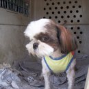 학산지구대 이미지