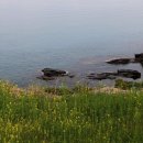 남해-288 이미지