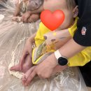 놀이마당 | 세종 이마트 문화센터 촉감 수업 숲속오감놀이마당 만족 후기