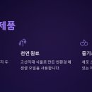 온코티앤티