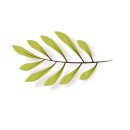 선화2로 이미지