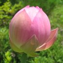 형무소1 이미지